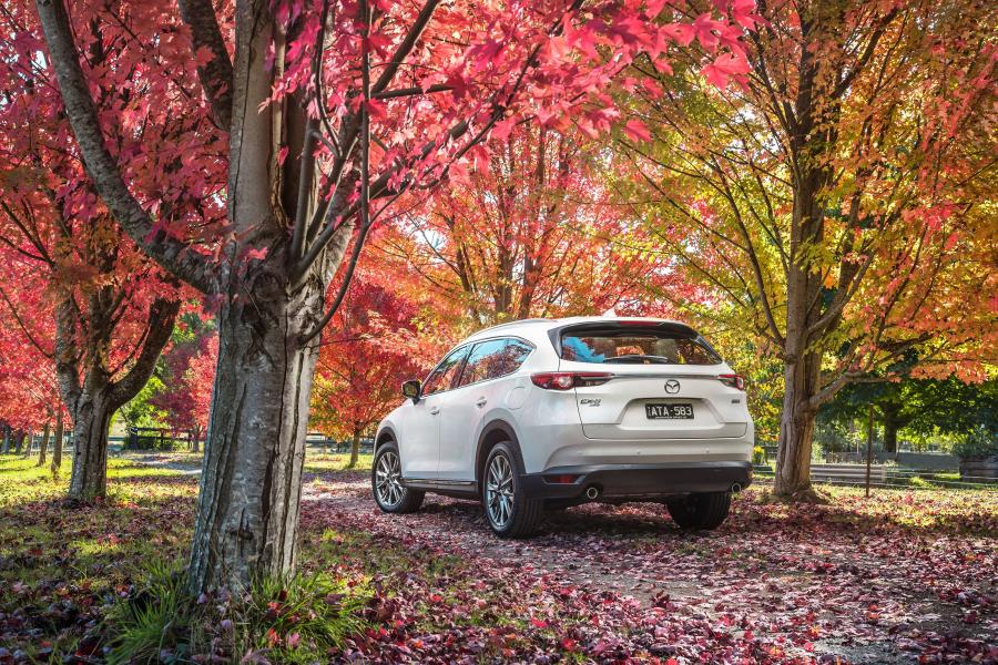  Mazda CX-8 2018 года  (AU) (фото 19 из 39)